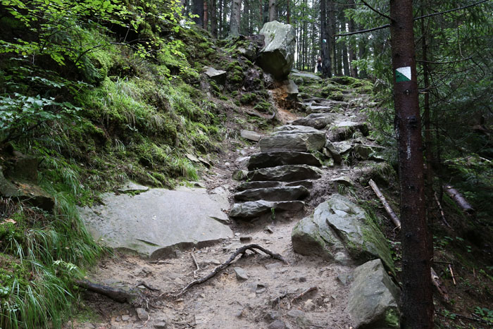 stezhka-dovbusha-nachalo