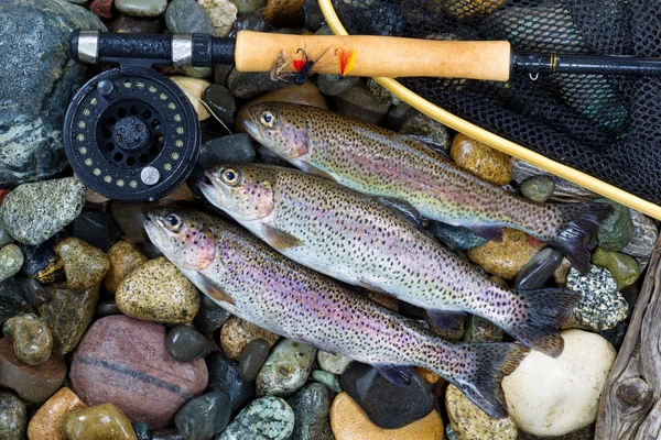 depositphotos_60266083-stock-photo-trout-fishing-success
